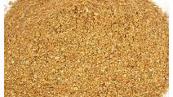 Manufacturers Exporters and Wholesale Suppliers of Rice Gluten Samalkha Haryana